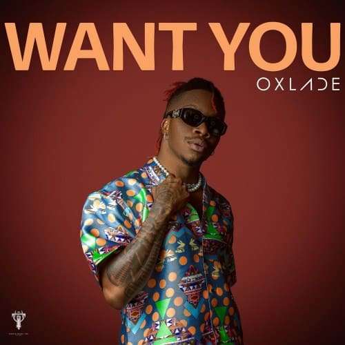 oxlade want you artwork