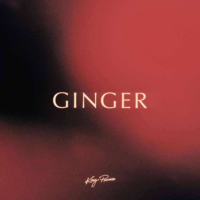King Promise Ginger Prod. By Jae5