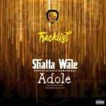 Download MP3: Shatta Wale – Adole